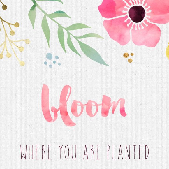 Meet your Posher, Blooming Boutique - Picture 1 of 1